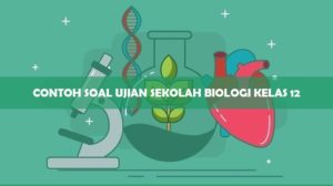 40 Contoh Soal Ujian Sekolah Biologi Kelas 12 & Pembahasan PDF 2023