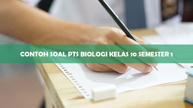 60 Contoh Soal PTS Biologi Kelas 10 Semester 1 Dan Jawabannya