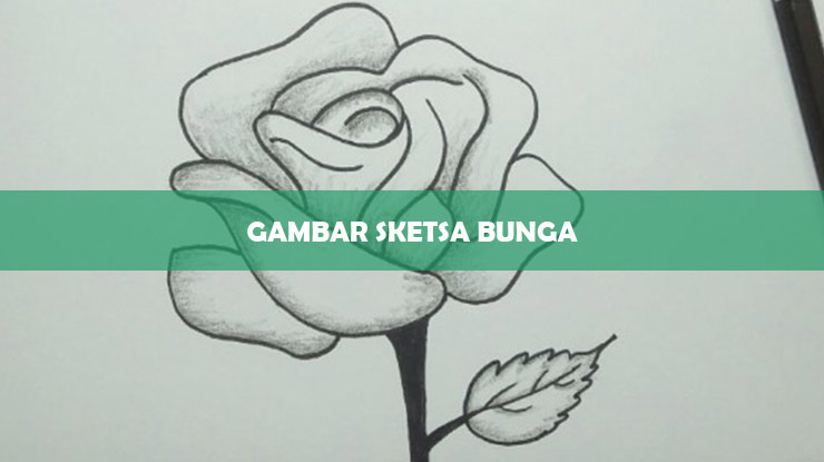 Gambar Sketsa Bunga